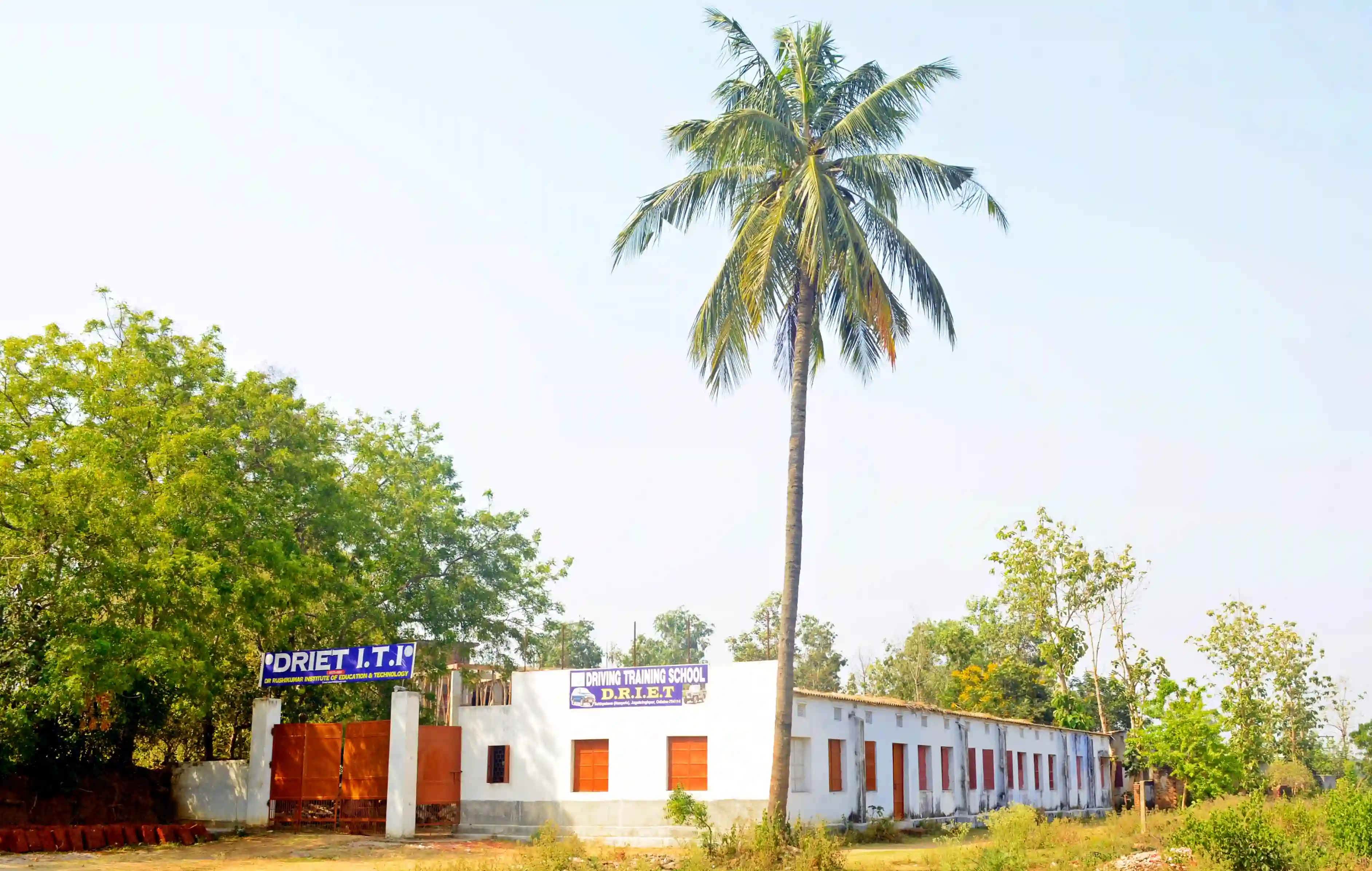 Gallery image: DRIET